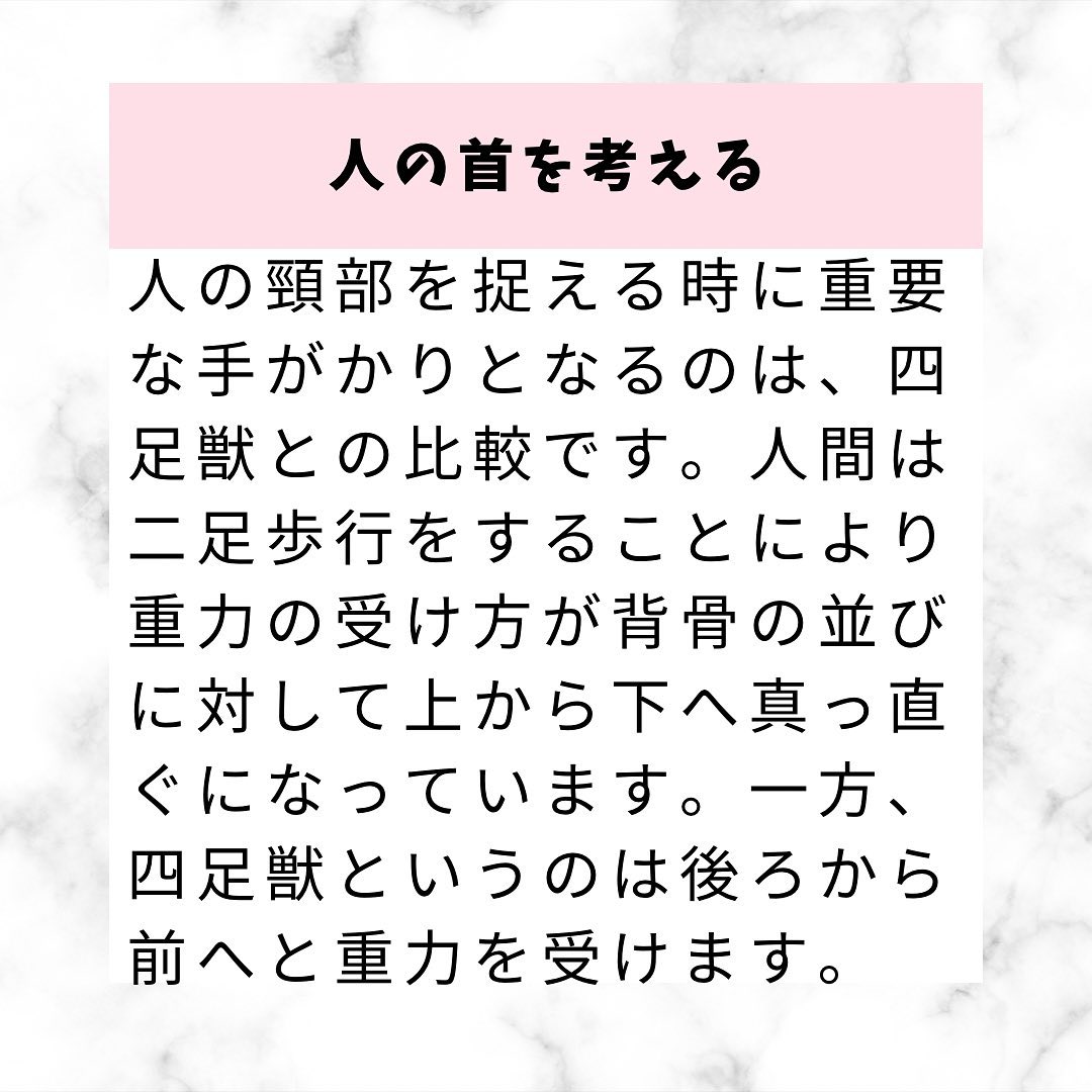 首の捉え方と治療のポイント
