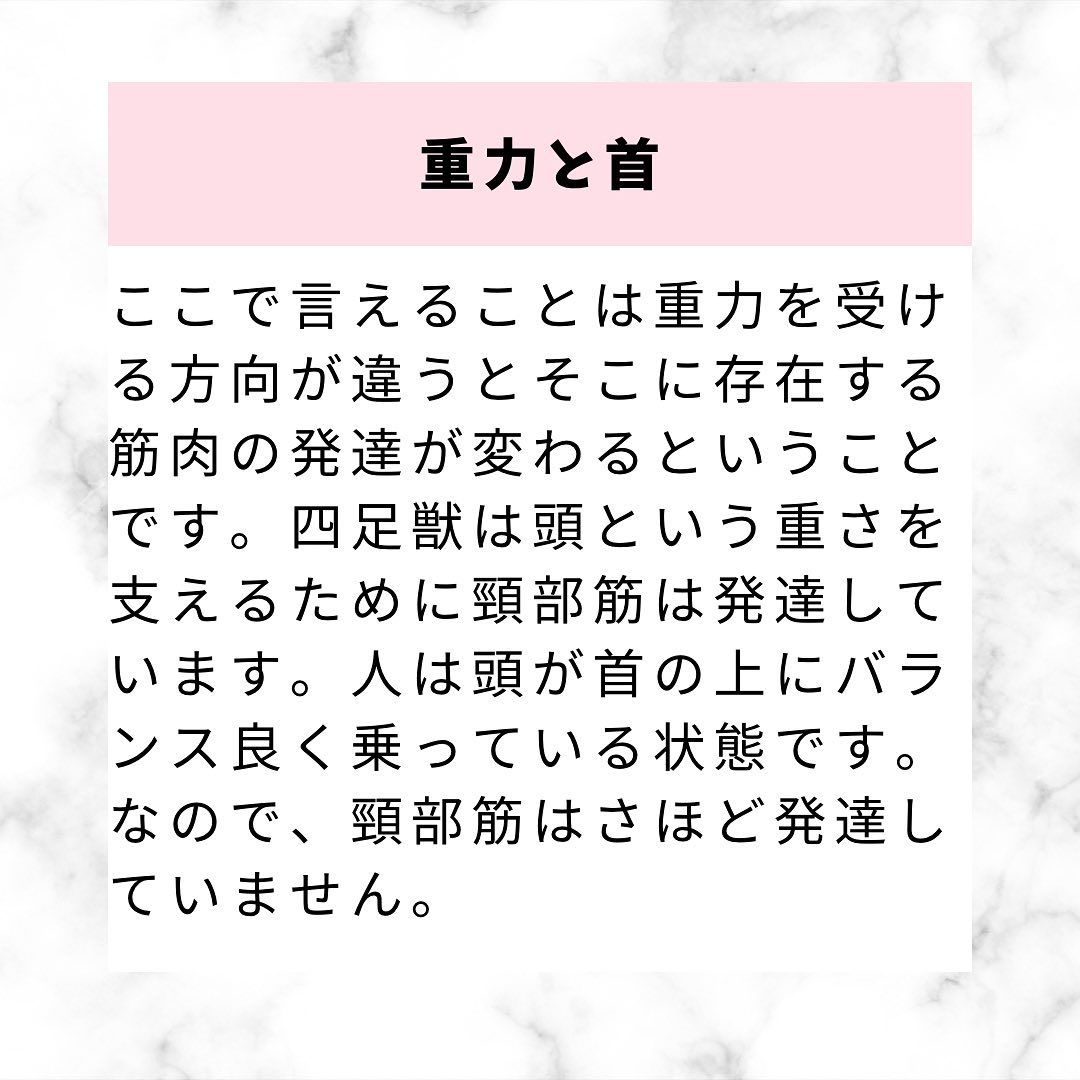 首の捉え方と治療のポイント