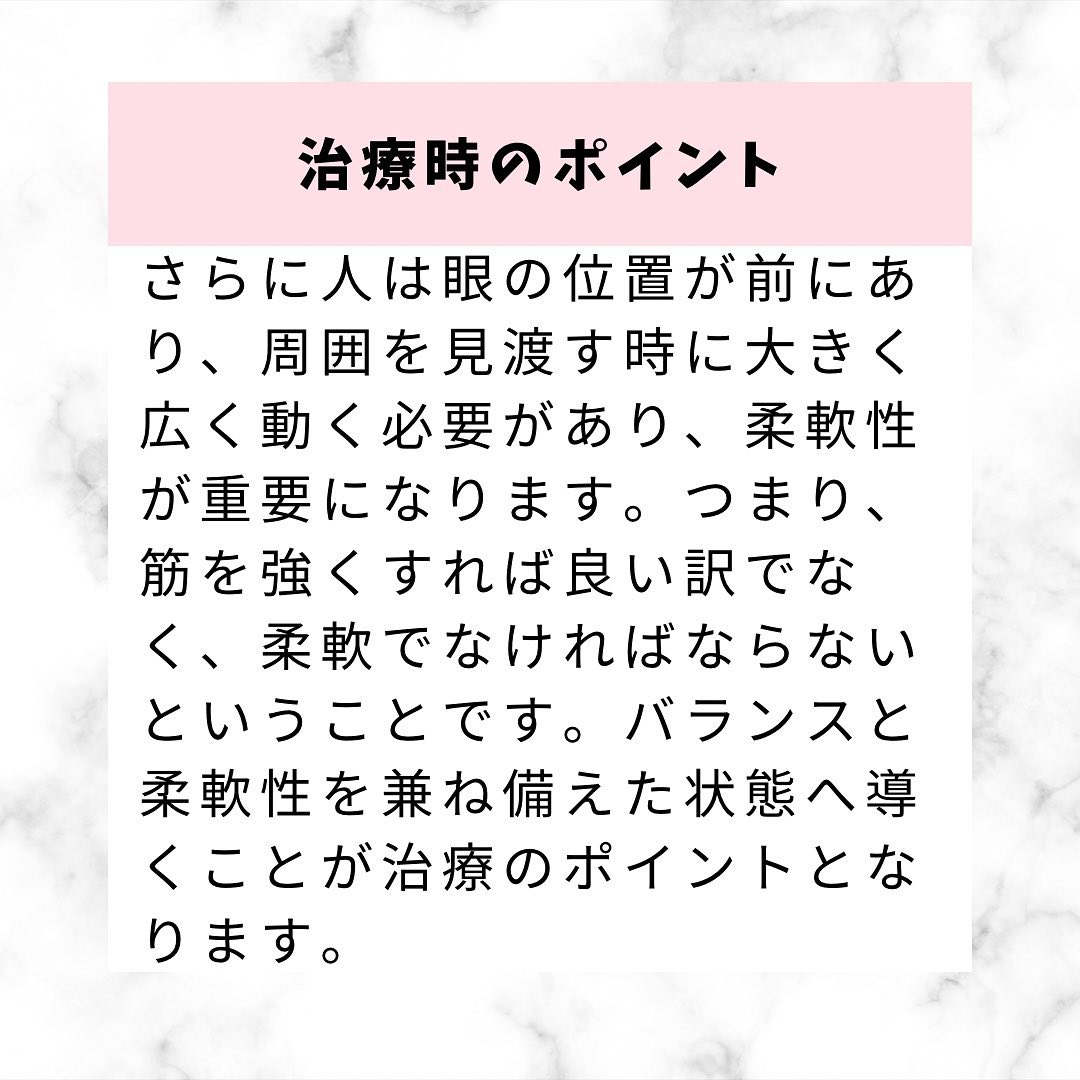 首の捉え方と治療のポイント