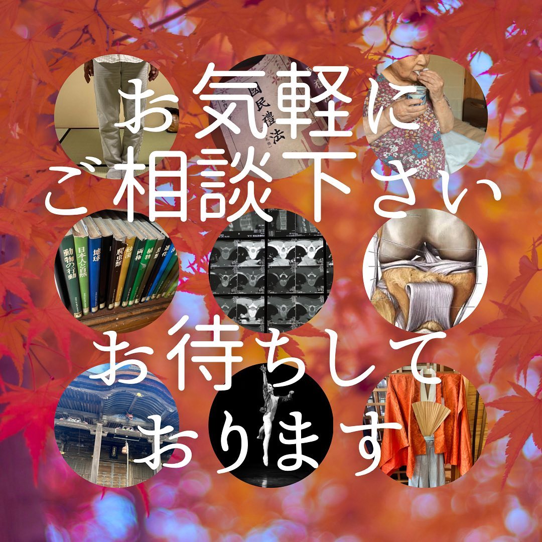 ワークショップのご案内😊