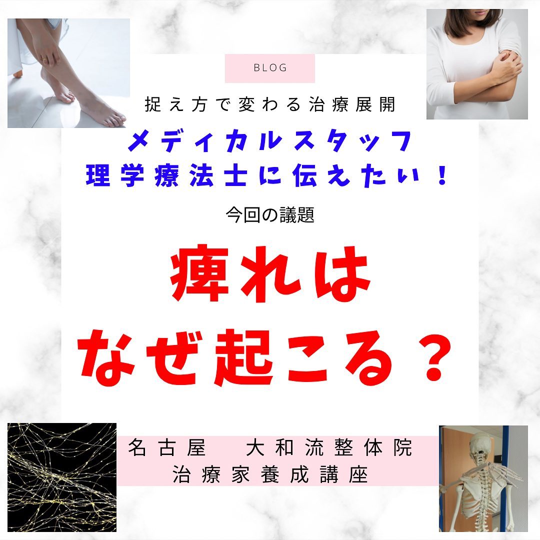 痺れはなぜ起こるのか？？🥺