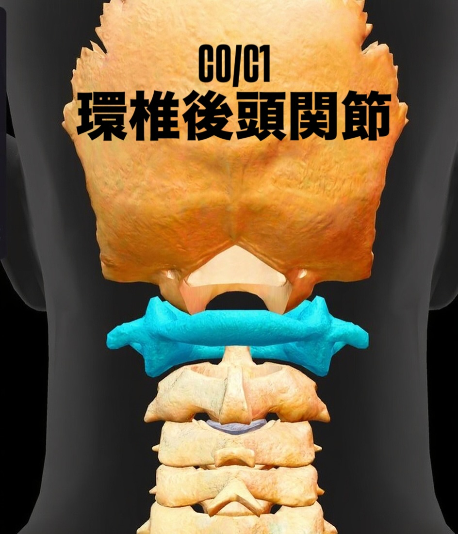 環椎後頭関節
