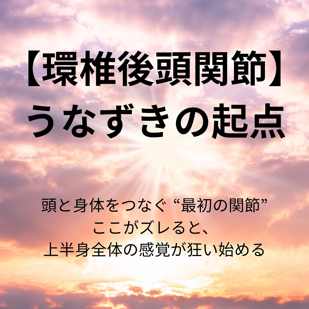 環椎後頭関節｜Atlas‒Occipital Joint