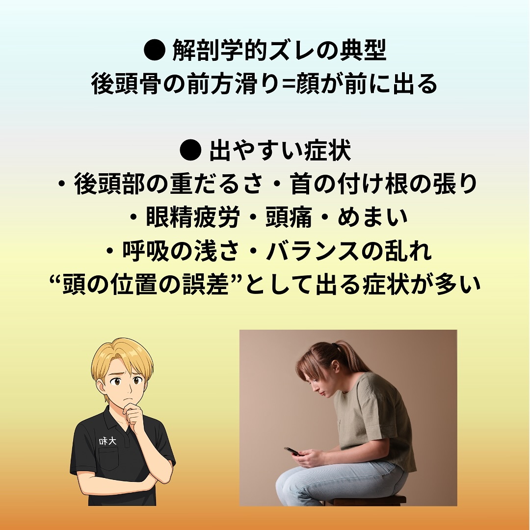 環椎後頭関節｜Atlas‒Occipital Joint