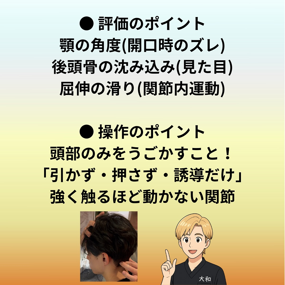 環椎後頭関節｜Atlas‒Occipital Joint