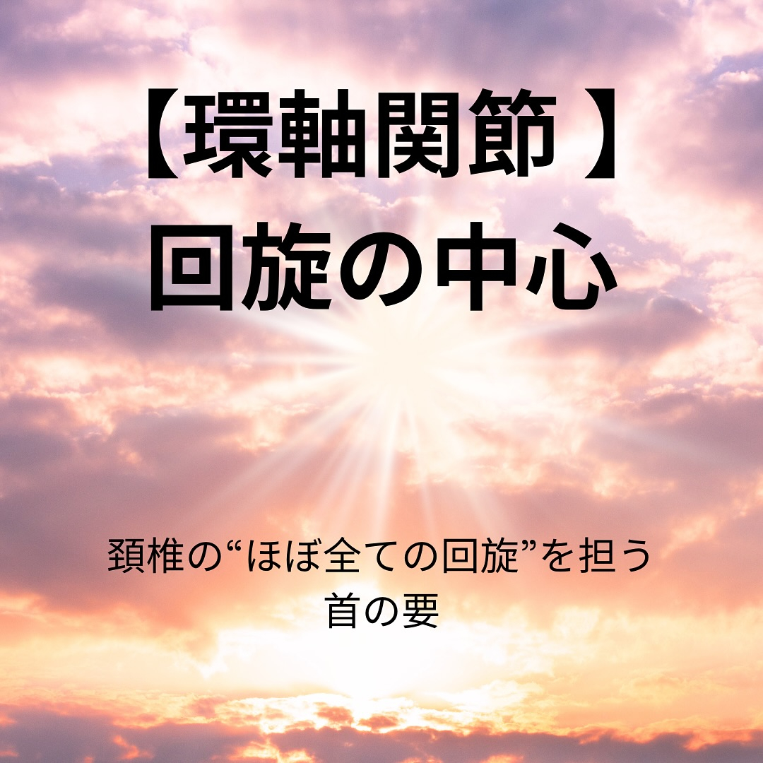 【1. 関節の構成 / 解剖】