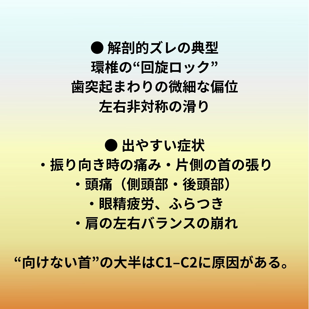 【1. 関節の構成 / 解剖】