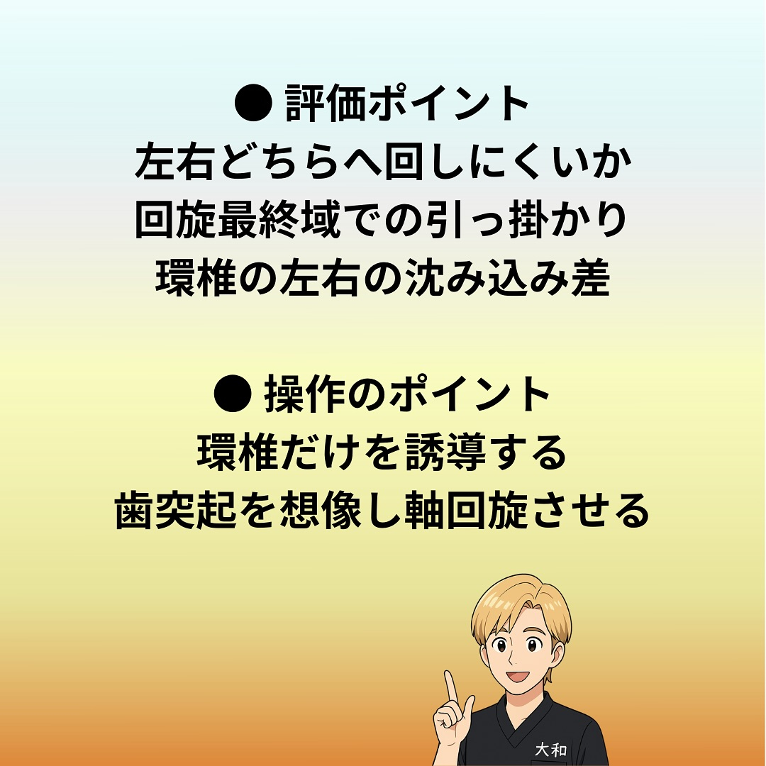 【1. 関節の構成 / 解剖】