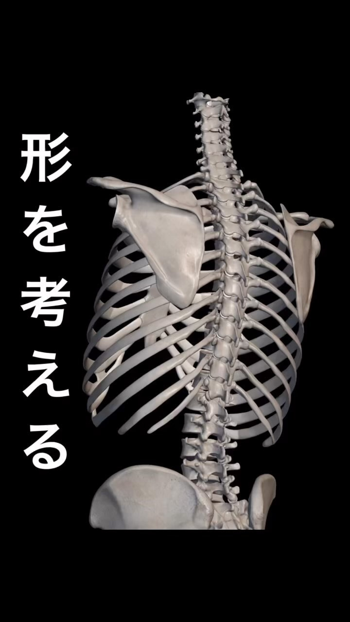 臨床で働いている理学療法士のほとんどが、治療技術を持っていな...