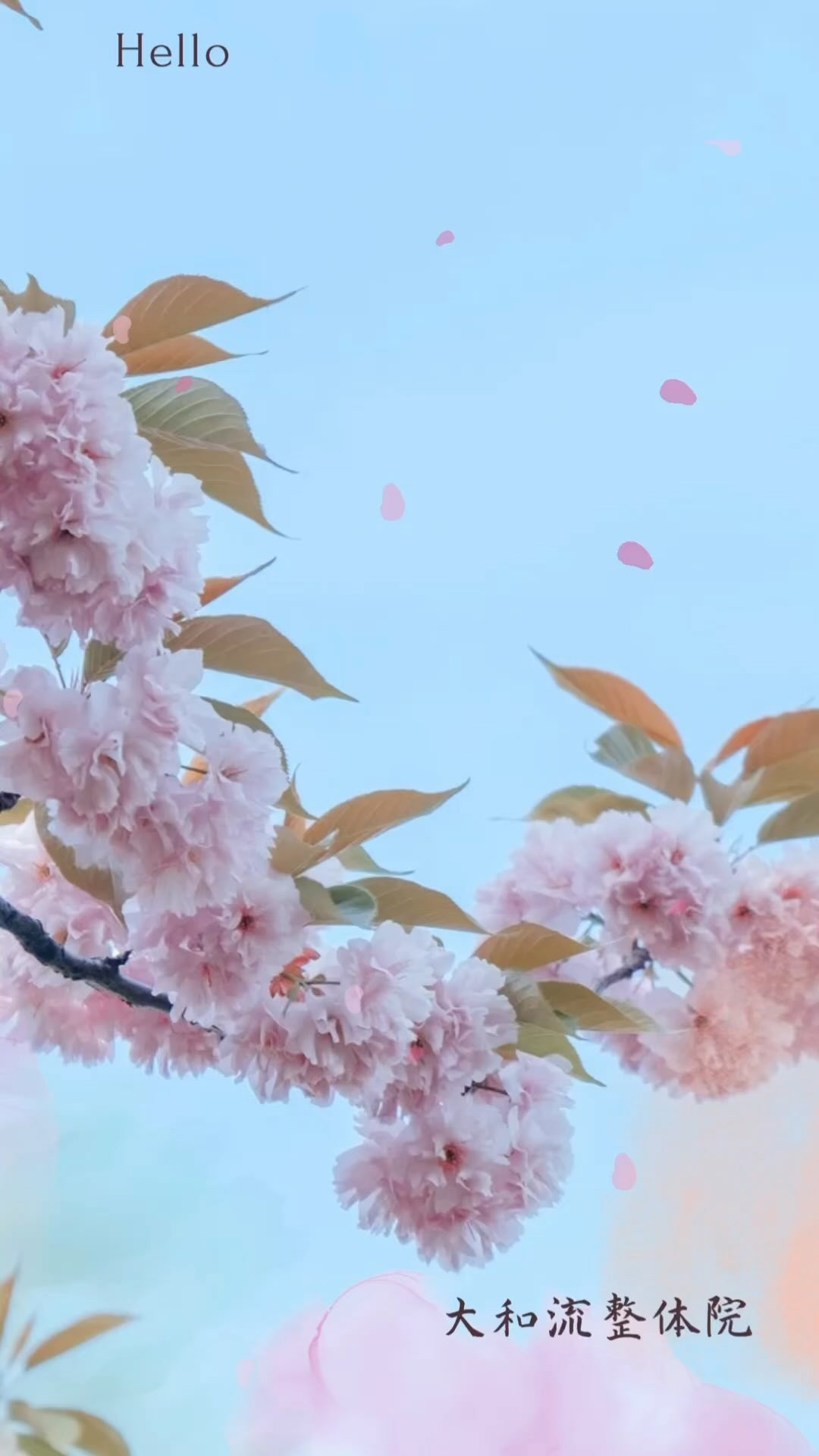 良い出会いを☘️