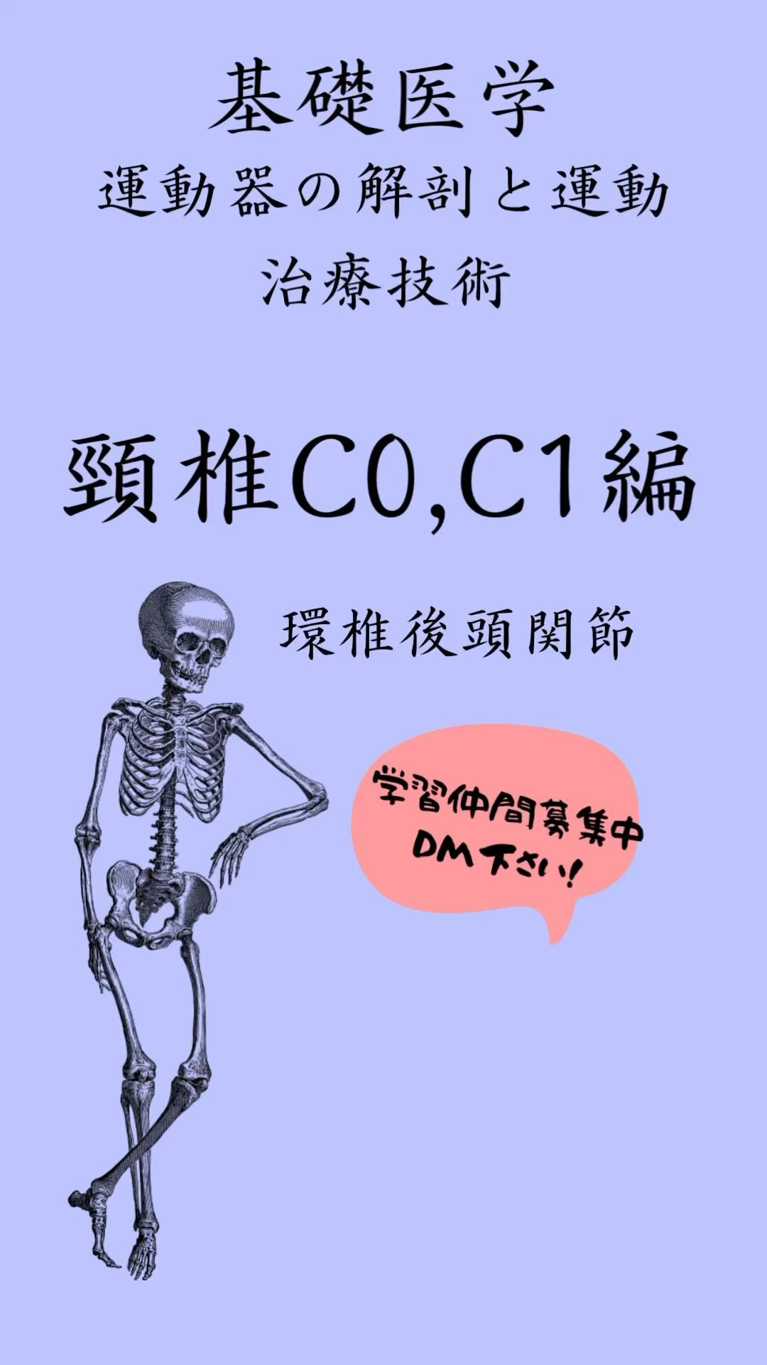 首と頭を繋ぐ関節‼️